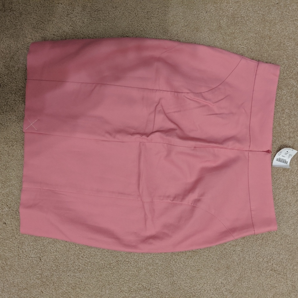 JCrew skirt